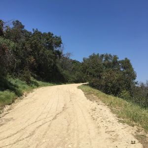 Meet your Posher, Stephany